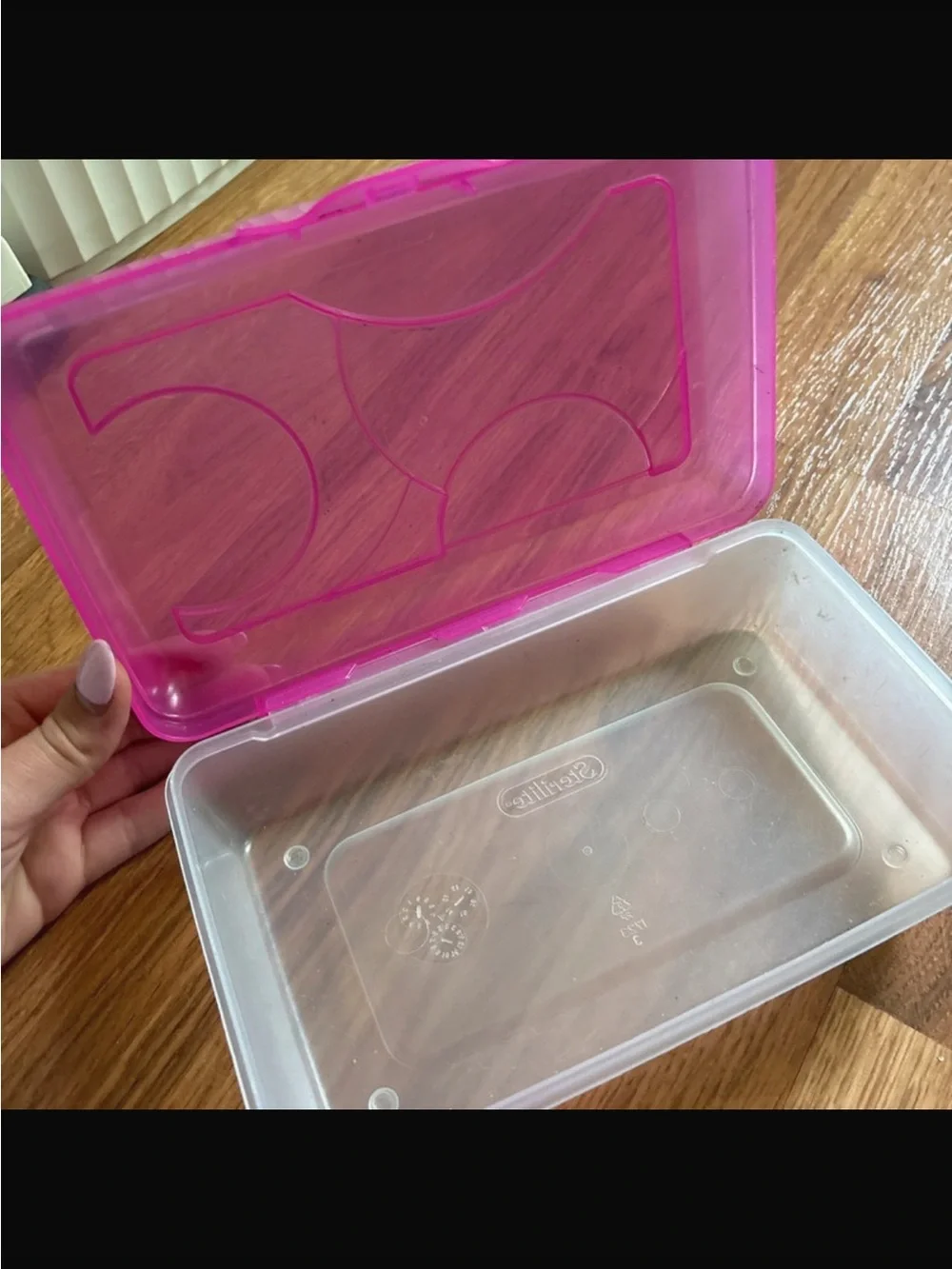 Pink Plastic Storage Boxes - Set of 2